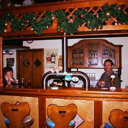 Ξενοδοχείο Landhotel-restaurant Schwalbennest 3*