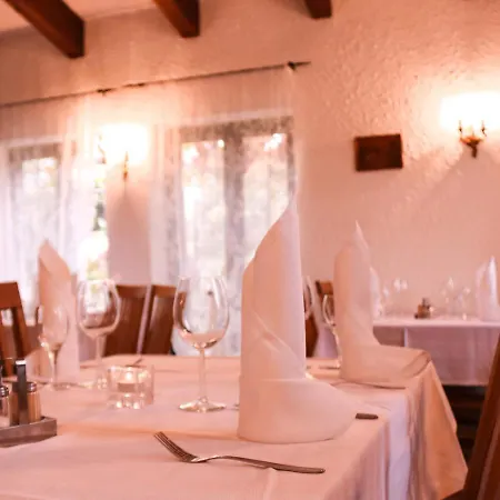 Ξενοδοχείο Landhotel-restaurant Schwalbennest 3*
